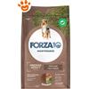 Forza10 Dog Maintenance Medium Maintenance Agnello e Riso - Sacco Da 12 Kg