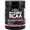 ENERVIT SpA GYMLINE MUSCLE HYDRO BCAA INSTANT WATERMELON POLVERE 335 G