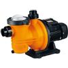 Glong Pompa per piscina mono 0,75Hp 0,55Kw 15m3 FCP550