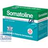 Somatoline Cosmetic Somatoline Gel 30 Bustine 10g