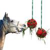 Besimple Confezione da 2 palline per cavalli, mangiatoie per fieno, mangiatoie per capre e capre, per alleviare lo stress