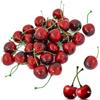 LATRAT 40 pezzi decorativi ciliegie, ciliegia, per la frutta, decorazione da tavolo, rosso, nero, ciliegia, decorazione per frutta, feste, festival