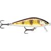 Rapala - Countdown Elite Fishing Edilizia Balsa Edilizia - Allegato Acqua dolce Flowing - Profondità di nuoto 0,9 m - dimensione 4,5 cm / 3,5 g - Fatta in Estonia - Trota mediterranea dorata