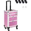 BAKAJI Trolley Make Up Professionale, Beauty Case Estetista Portatile, Valigia Porta Trucchi con Trama Oleografica a Triangolare e Ruote Staccabili, Valigetta Organizer Makeup Viaggio (Rosa)