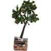 Holyart Albero per presepe, Arancio h Reale 15 cm