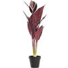 DKD Home Decor Impianto Ornamentale, Standard