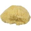 Rayher 3864600 spugna naturale set Grass, fein-undgrossporig, 6 - 7,5 cm, SB-sacchetto 3 pezzi