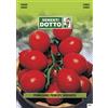Sementi Dotto Extra_pomodoro Principe Borghese