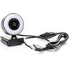 AUDIODESIGN PRO Webcam con Autofocus ad Alta Risoluzione fino a 4K 30 FPS, Microfono Integrato e Luce Regolabile
