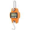 QWORK® Bilancia sospesa digitale, 300kg, bilancia a sospensione in alluminio, per la pesatura del molo, industriale, pesca