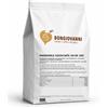 TiBioNa Italia Mandorle Sgusciate 36/38 1Kg