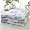 Chickwin Trapuntino Copriletto Matrimoniale Singolo, 3D Semplice Reversibile Coperta Primaverile Autunnale Trapunta Estivo Trapuntato Coperta Letto per Camera da Letto (150x200cm,Fiori Blu)
