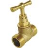 SOMATHERM FOR YOU SOMATHERM PER VOI - arresto valvola a vite a doppio Maschile MM20 / 27 - Stem testa - greggio Brass