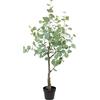 Flair Flower Albero artificiale di eucalipto in vaso, pianta decorativa, arbusto, cespuglio, tronco di eucalipto, rami di eucalipto, piante artificiali, albero finto, piante verdi in argento, foglie decorative