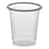 PAPSTAR GmbH PAPSTAR Bicchieri da degustazione in pla Pure 2cl Ø 3,9 cm - 4 cm, 40 pezzi, cristallo trasparente