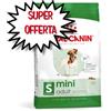 ROYAL CANIN CANE MINI ADULT 8 KG - NUOVO