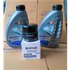 selva outboard KIT TAGLIANDO ORIGINALE MOTORE FUORIBORDO YAMAHA F40 60 SELVA DORADO 100h / 300h