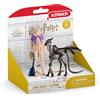 Schleich Luna E Thestral Mondo magico Harry Potter Schleich 6+
