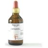 Cento Fiori RIBES GEMME MACERATO GLICERICO 100 ML