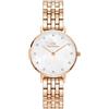 Daniel Wellington Orologio PETITE LUMINE 5-LINK MELROSE Daniel Wellington Donna