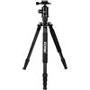 ZOMEI Z818C Cavalletto monopiede portatile per fotocamera digitale e videocamera digitale in fibra di carbonio con testa a sfera per Canon Sony Nikon Samsung Panasonic Olympus Kodak Fuji