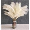 GEFIRE Pampas Verde Artificiale 30 Pezzi Pampas Decorative Alte 55 cm Finti Soffici e Soffici Erba di Pampa Decorativa per Matrimonio Soggiorno Boho Arredamento Casa (Giallo pallido)