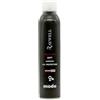 Lacca Eco 350ml - Raywell Prodotti di styling (Strong)