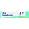 BOIRON Srl RHUS TOXICODENDRON*5CH GL 1G