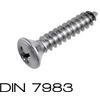 INOX MARE S.r.l. DIN 7983 4,8X50 Vite autofilettante svasata cr