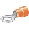 NAUTICA DDR SRL TERMIMALE OCCHIELLO 4,3 Terminale con occhiello