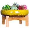 ARTKETTY Vasi per piante grasse, vasi per piante di cactus di grandi dimensioni con drenaggio, vaso bonsai in ceramica per interni per il giardino e la casa
