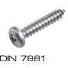 INOX MARE S.r.l. DIN 7981 2,9X25 Vite autofilettante a croce