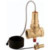 Caleffi 541080 VAL.INT.COMB.100C 11/2 5MT