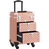 BAKAJI Trolley Makeup in Alluminio Valigetta Trucco Estetista Beauty Case Oro