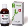 Fitomedical Ribes Nigrum gemmo derivato biologico 100 ml