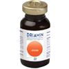 DRIATEC SRL DRIAMIN IODIO 15ML