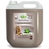 ICA CHPG19 - Shampoo Speciale per Yorkshire con Aloe Vera PH Neutro, Pelliccia Morbida e setosa, con fragranza di Lavanda, 5 l