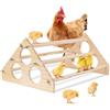 OLACD Giocattolo di intrattenimento per pulcini, pollaio in legno giungla palestra trespolo, Coop & Brooder Chick Stand trespolo, 41 x 26 x 19 cm