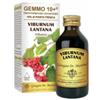 DR.GIORGINI SER-VIS SRL Viburno Liquido Analcolico Gemmo 10+ 100 Ml