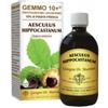 DR.GIORGINI SER-VIS SRL Gemoo 10+ Gemmoderivato Concentrato Ippocastano Liquido Analcolico Aesculus Hippocastanum Ippocastano 500 Ml