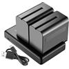 Neewer 2-Pack 6600mAh Li-Ion Batteria di Ricambio con Caricatore USB, Compatibile con Sony NP-F970 F960 F950 F770 F750 F570 F550, Handycam e Neewer Led Light, Monitor, Slider Motorizzato