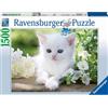 Ravensburger Gattino Bianco - Puzzle 1500 Pezzi