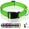 Generico Sure Pet collare per cane taglia media e piccola la taglia piccola anche per i gatti, catarifrangente e luminoso con fibbia regolabile per ogni taglia l'anello in metallo per un aggancio sicuro