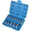 CPROSP 13 Pezzi Set di Chiavi a Bussola con Punta Esagonale 1/2'', 3/8'', 1/4'', Bussole Esagonali 2-14mm con Custodia in Plastica, Bussola Chiave per Trapano Avvitatore 1/2 per Chiavi a Percussione