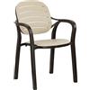 Totò Piccinni Sedia Poltrona NADIA con Braccioli in polipropilene design impilabile effetto legno (1 Sedia, Marrone/Cappuccino)