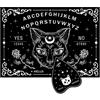 CREATCABIN Black Cat Wood Spirit Board Talking Ouija Boards Pendulum Board Legno Planchette Giochi Divinazione Rabdomanzia Caccia Spirito Messaggio Metafisico Decor Roba Strega per Wicca 30x21cm