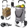 Arebos Carrello spesa 3in1 | carrello grande 56 litri | carrello spesa con scomparto refrigerato | borsa spesa con ruote | shopper pieghevole | carrello spesa, carrello a mano | grigio