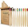 GeekerChip Spazzolino Bamboo[10 Pezzi],100% Senza BPA Vegan Spazzolini Bamboo di Riutilizzabili e Biodegradabile,con Setole di Carbone Morbide e Disegno Ergonomica-10 Colori