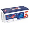 Timeusb Batteria al Litio 24V 100Ah Batteria LiFePO4,BMS 100A,Batteria da 15000 Cicli Profondi,2,56kWh di Energia,Batteria Ricaricabile di Grado A per RV Camper, Accumulo di Energia in Casa