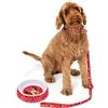 Disney Minnie Mouse Pets Set Regalo Ciotola Guinzaglio con Collare Personaggi